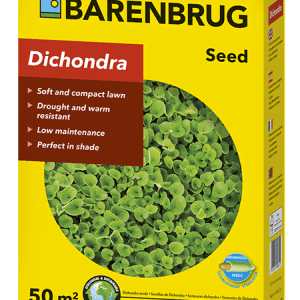 Barenbrug Dichondra zöld talajtakaró