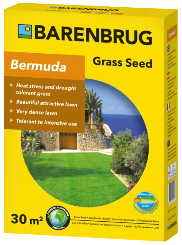 Barenbrug Bermudagrass