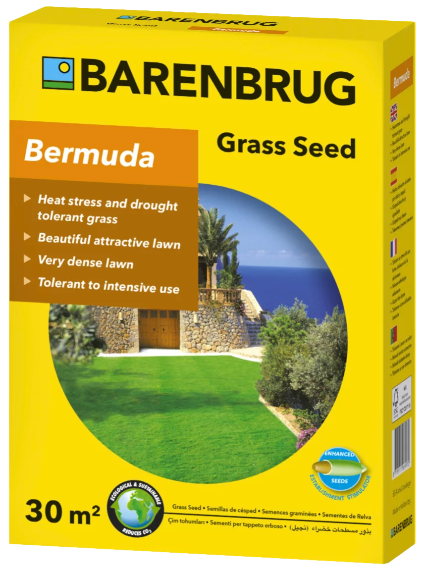 Barenbrug Bermudagrass