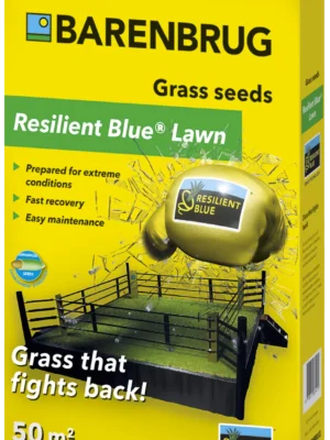 Barenbrug Resilient Blue Lawn - Ellenálló, gyepszőnyeg jellegű 1 kg (1db)