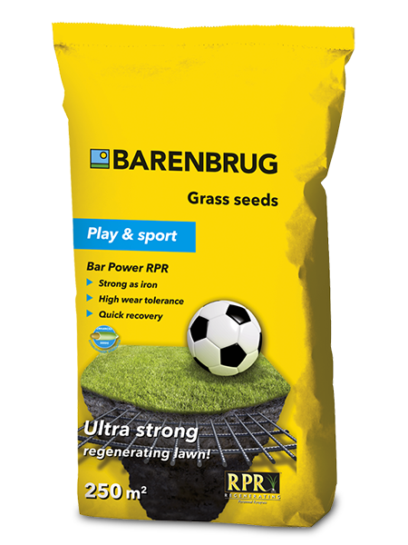 Barenbrug RPR Lawn 5 kg