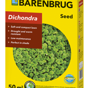 Barenbrug Dichondra zöld talajtakaró
