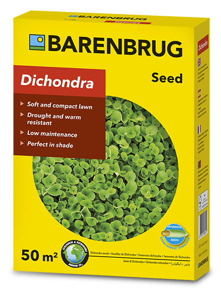 Barenbrug Dichondra zöld talajtakaró